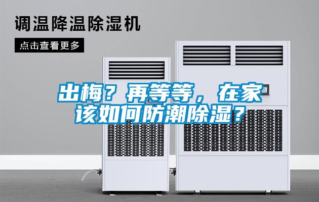 出梅？再等等，在家該如何防潮除濕？