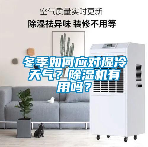 冬季如何應(yīng)對濕冷天氣?除濕機(jī)有用嗎?