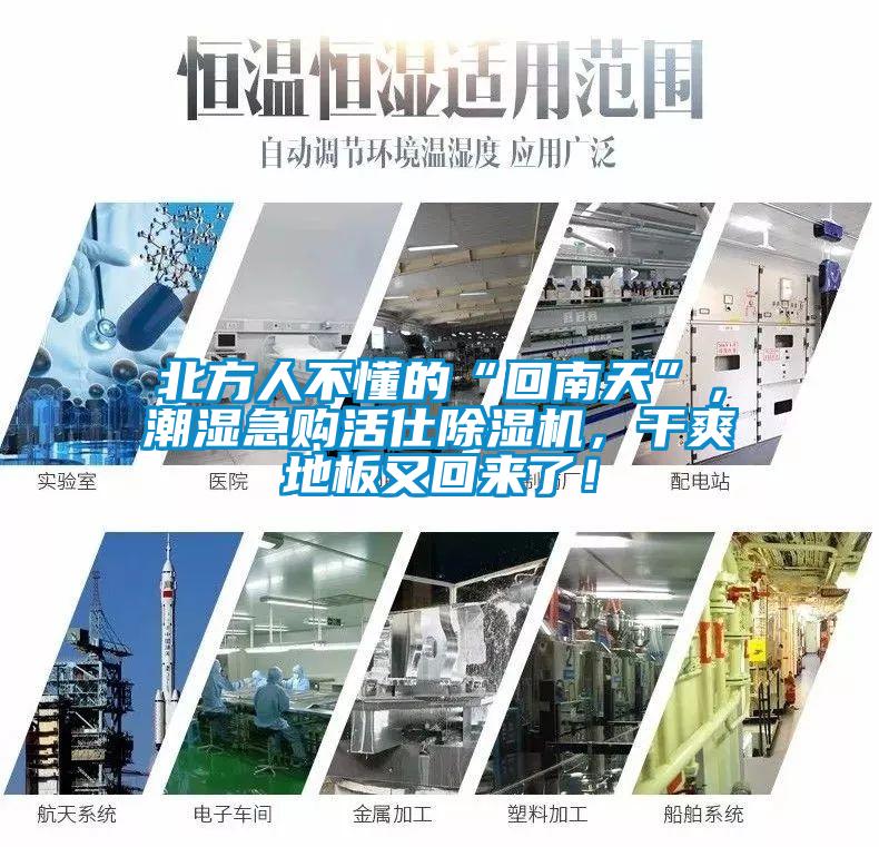 北方人不懂的“回南天”，潮濕急購活仕除濕機，干爽地板又回來了！