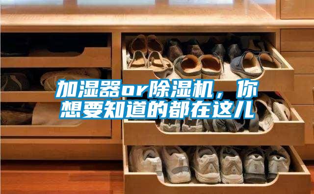 加濕器or除濕機(jī)，你想要知道的都在這兒
