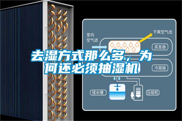 去濕方式那么多，為何還必須抽濕機