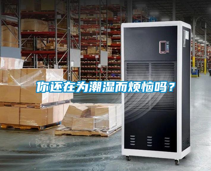 你還在為潮濕而煩惱嗎？