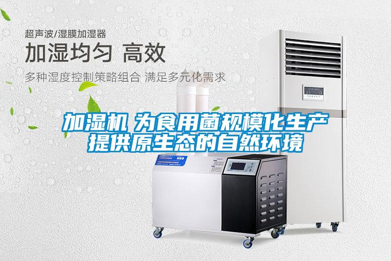 加濕機(jī) 為食用菌規(guī)?;a(chǎn)提供原生態(tài)的自然環(huán)境