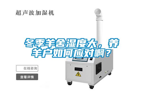 冬季羊舍濕度大，養(yǎng)羊戶如何應(yīng)對(duì)?。?/></p>
						    <p style=