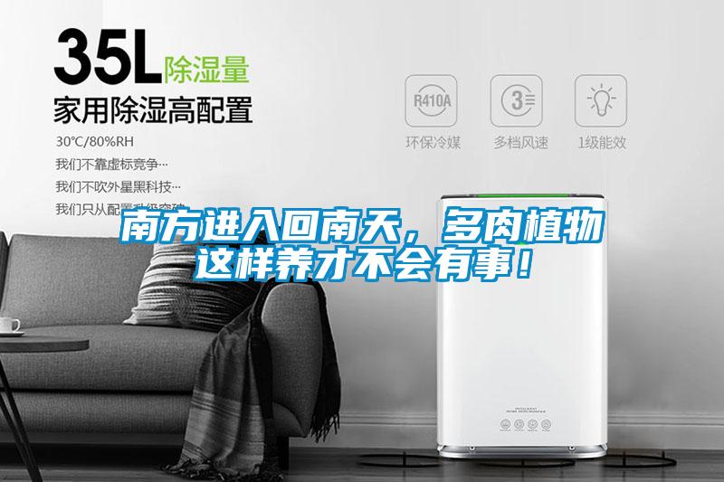 南方進入回南天，多肉植物這樣養(yǎng)才不會有事！