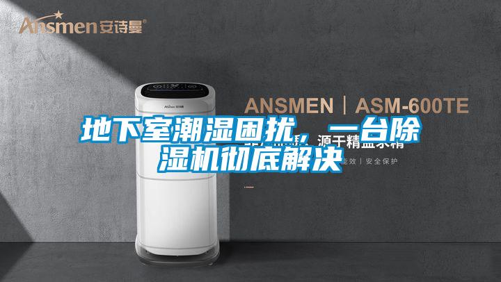 地下室潮濕困擾，一臺(tái)除濕機(jī)徹底解決