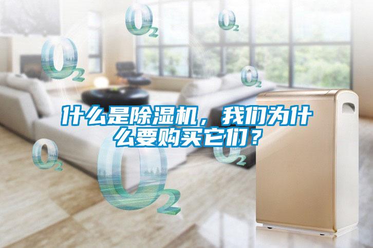 什么是除濕機，我們?yōu)槭裁匆徺I它們？
