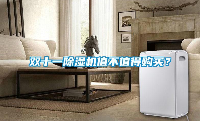 雙十一除濕機(jī)值不值得購買？