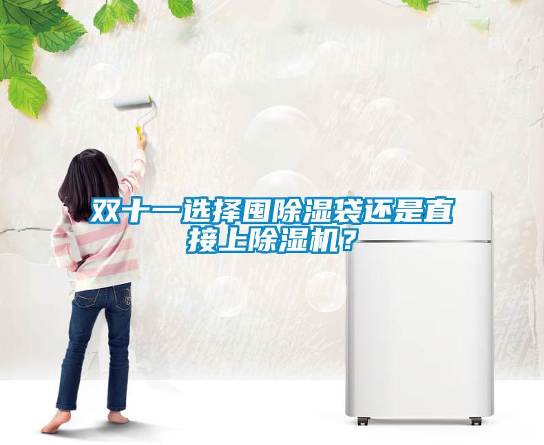 雙十一選擇囤除濕袋還是直接上除濕機(jī)？