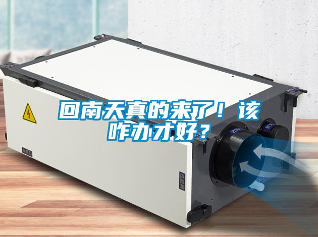 回南天真的來了！該咋辦才好？