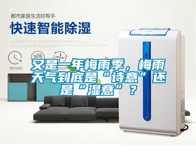 又是一年梅雨季，梅雨天氣到底是“詩意”還是“濕意”？