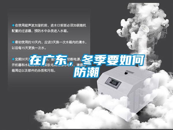 在廣東，冬季要如何防潮