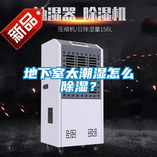 地下室太潮濕怎么除濕？