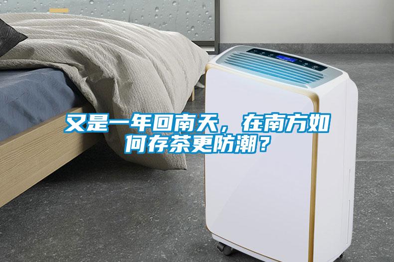 又是一年回南天，在南方如何存茶更防潮？
