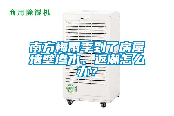 南方梅雨季到了房屋墻壁滲水、返潮怎么辦？