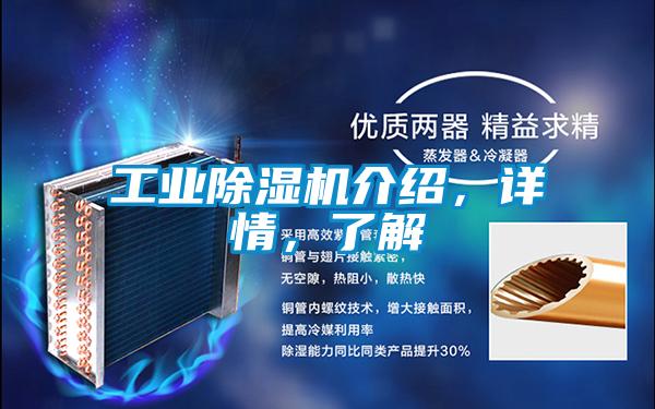 工業(yè)除濕機(jī)介紹，詳情，了解