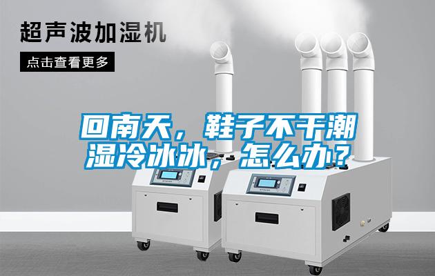 回南天，鞋子不干潮濕冷冰冰，怎么辦？