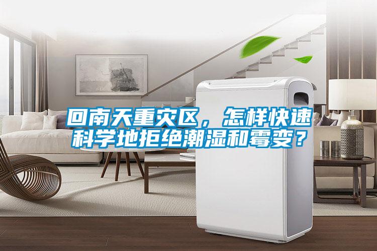 回南天重災(zāi)區(qū)，怎樣快速科學(xué)地拒絕潮濕和霉變？