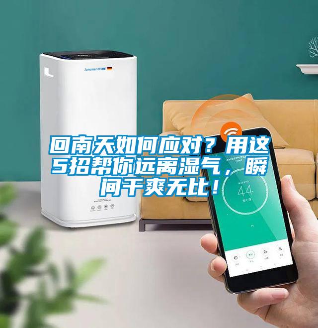 回南天如何應(yīng)對？用這5招幫你遠(yuǎn)離濕氣，瞬間干爽無比！
