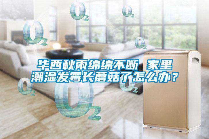 華西秋雨綿綿不斷 家里潮濕發(fā)霉長(zhǎng)蘑菇了怎么辦？