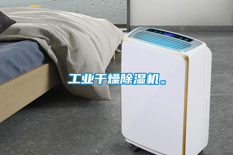 工業(yè)干燥除濕機。