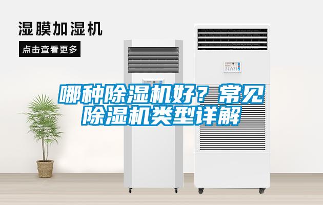 哪種除濕機好？常見除濕機類型詳解