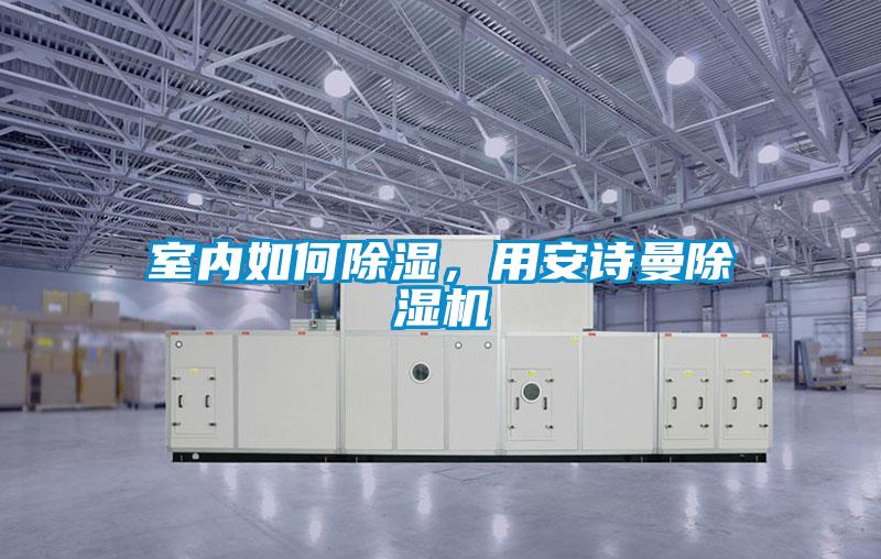 室內(nèi)如何除濕，用安詩曼除濕機