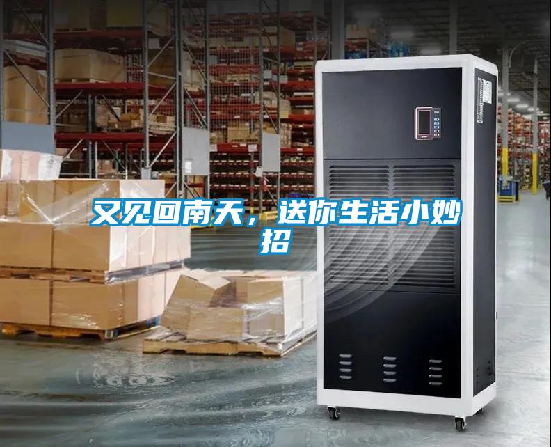 又見回南天，送你生活小妙招