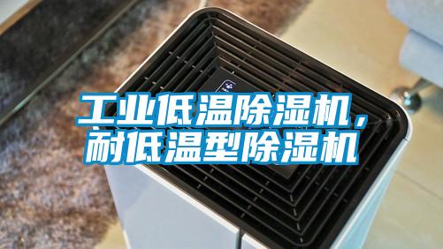 工業(yè)低溫除濕機，耐低溫型除濕機