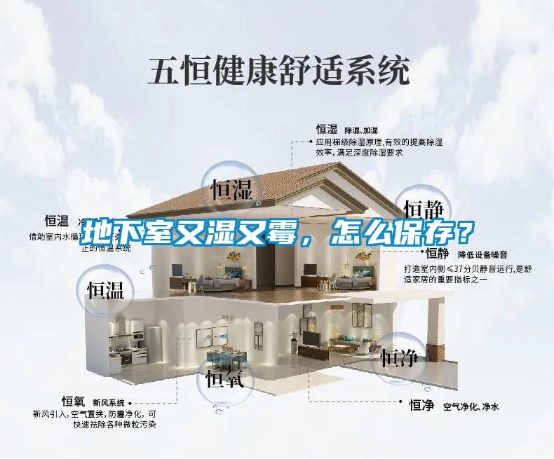 地下室又濕又霉，怎么保存？