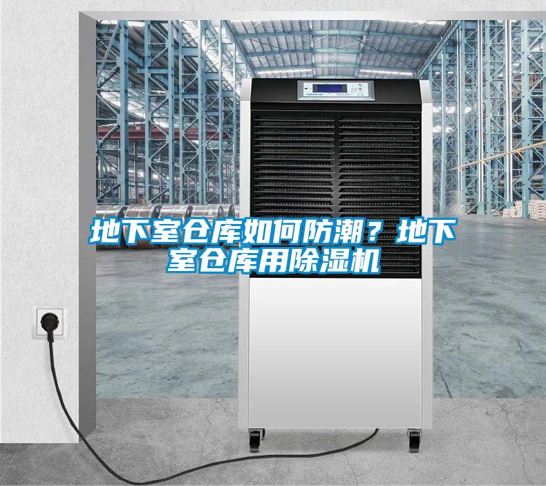 地下室倉(cāng)庫(kù)如何防潮？地下室倉(cāng)庫(kù)用除濕機(jī)
