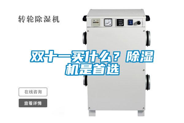 雙十一買什么？除濕機(jī)是首選