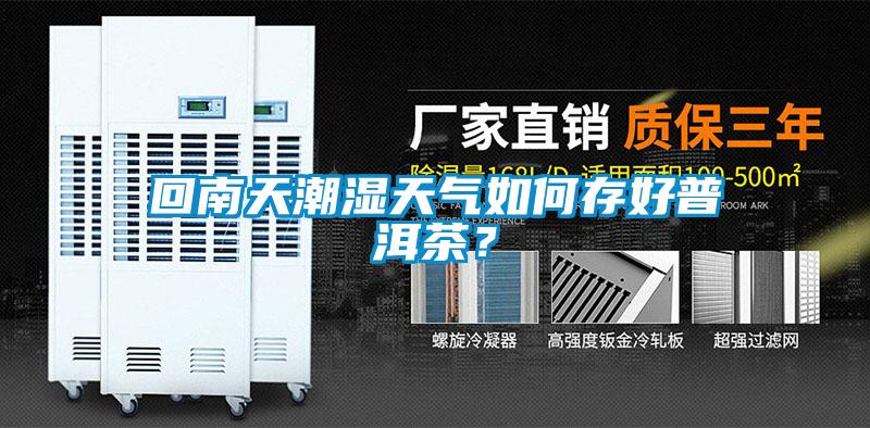 回南天潮濕天氣如何存好普洱茶？