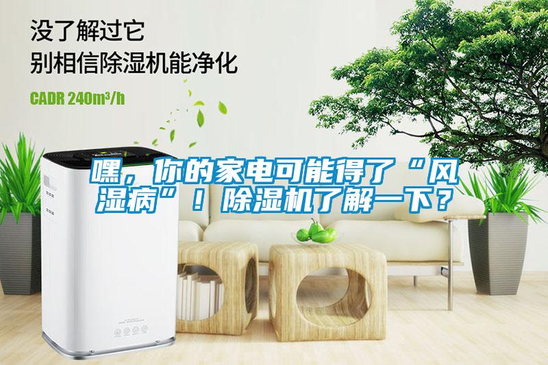 嘿，你的家電可能得了“風(fēng)濕病”！除濕機(jī)了解一下？