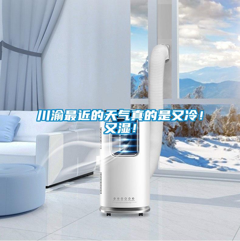 川渝最近的天氣真的是又冷！又濕！