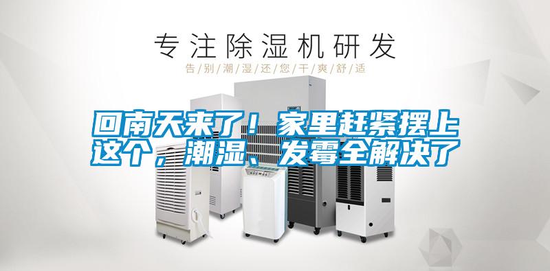 回南天來了！家里趕緊擺上這個，潮濕、發(fā)霉全解決了