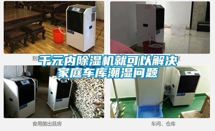 千元內(nèi)除濕機(jī)就可以解決家庭車庫(kù)潮濕問題