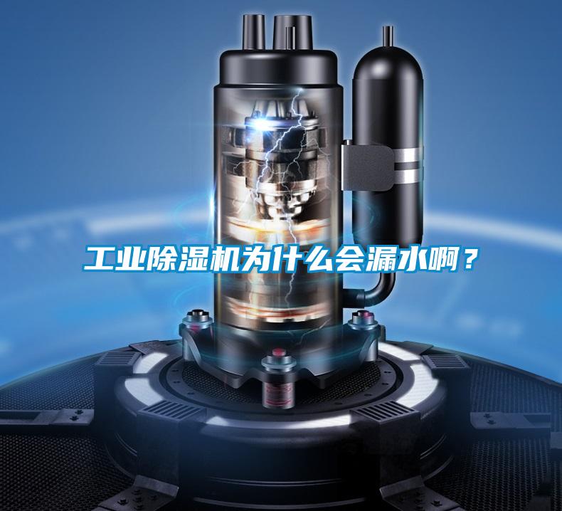 工業(yè)除濕機為什么會漏水?。?/></p>
						    <p style=