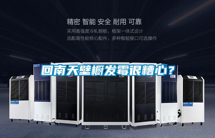 回南天壁櫥發(fā)霉很糟心？