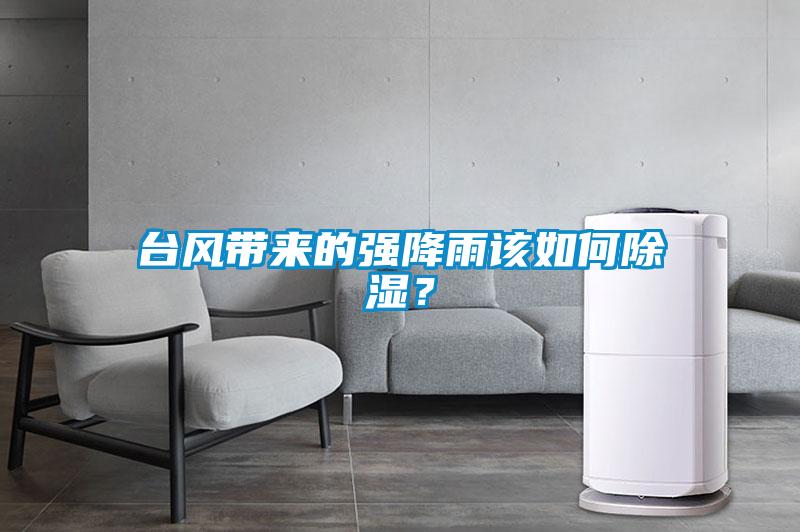 臺風帶來的強降雨該如何除濕？