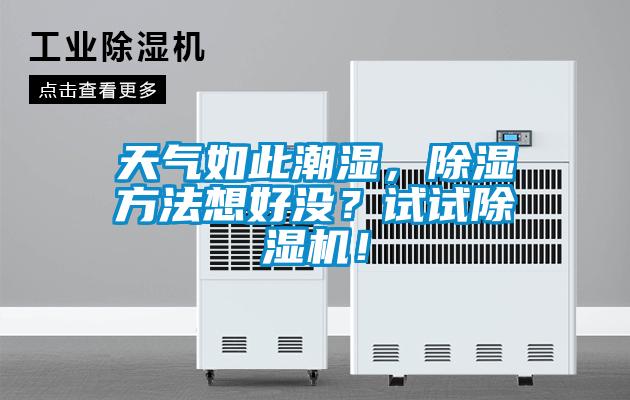 天氣如此潮濕，除濕方法想好沒？試試除濕機(jī)！