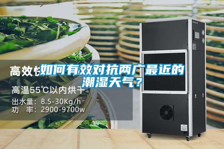 如何有效對(duì)抗兩廣最近的潮濕天氣?