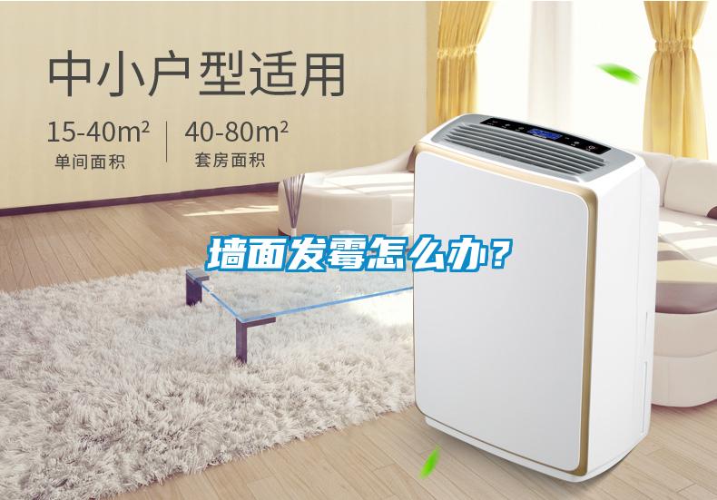 墻面發(fā)霉怎么辦？