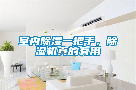 室內(nèi)除濕一把手，除濕機(jī)真的有用