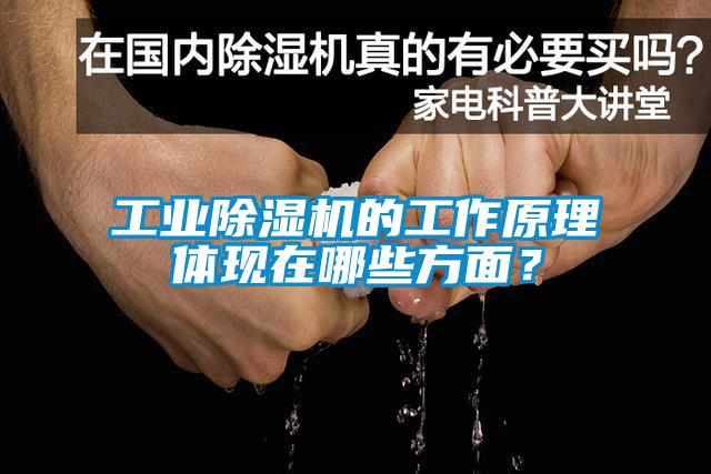 工業(yè)除濕機(jī)的工作原理體現(xiàn)在哪些方面？