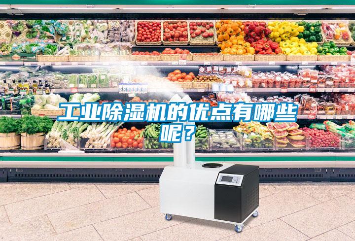 工業(yè)除濕機(jī)的優(yōu)點(diǎn)有哪些呢？