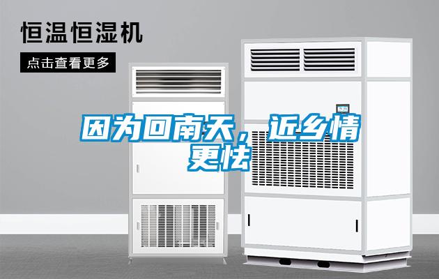 因?yàn)榛啬咸?，近鄉(xiāng)情更怯