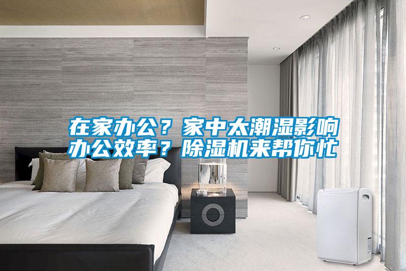在家辦公？家中太潮濕影響辦公效率？除濕機(jī)來(lái)幫你忙
