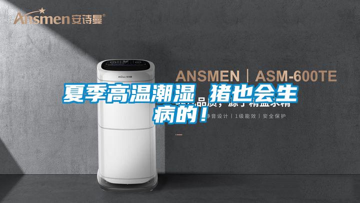 夏季高溫潮濕 豬也會生病的！