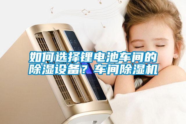 如何選擇鋰電池車間的除濕設(shè)備？車間除濕機(jī)